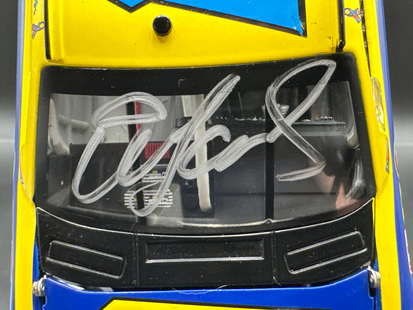 Elliott Sadler #19 Best Buy 2008 Charger Club Car