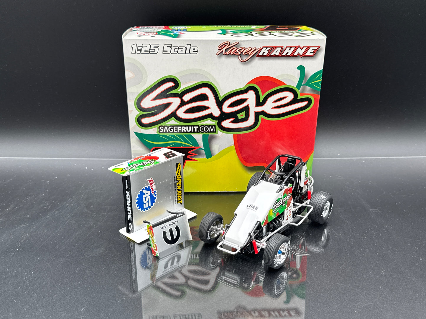 Kasey Kahne 2007 Sage Fruit Sprint Car
